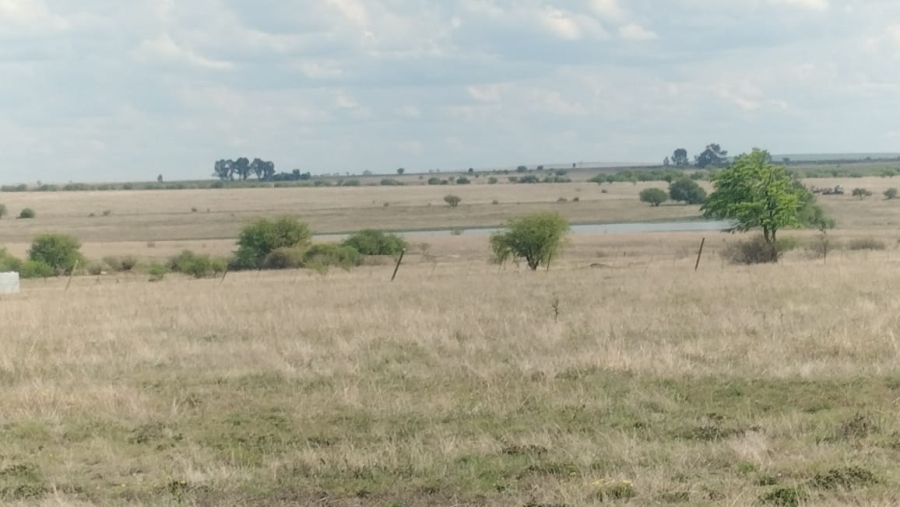 Commercial Property for Sale in Fairview Free State